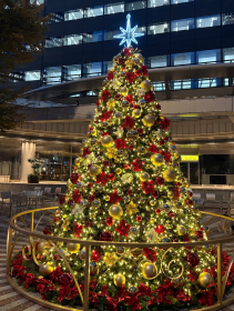 ウインターイルミネーション開催中！