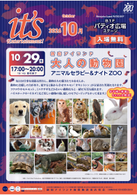 大人の動物園　アニマルセラピー＆ナイトZOO